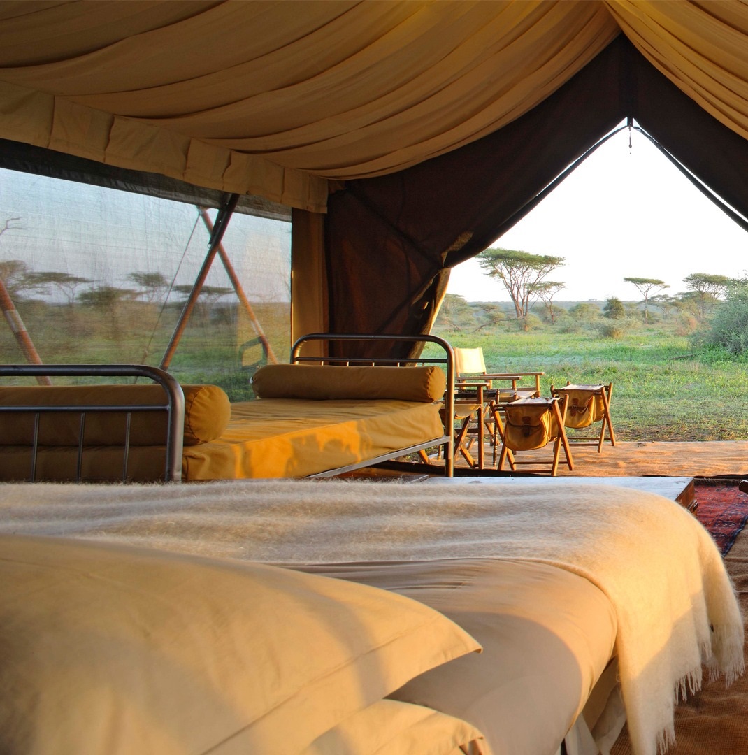 Luxury Wildlife Safari in Tanzania