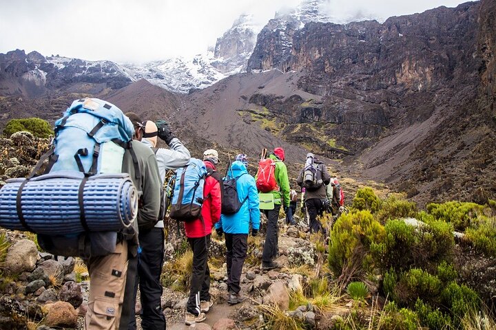 7 Days Rongai Route