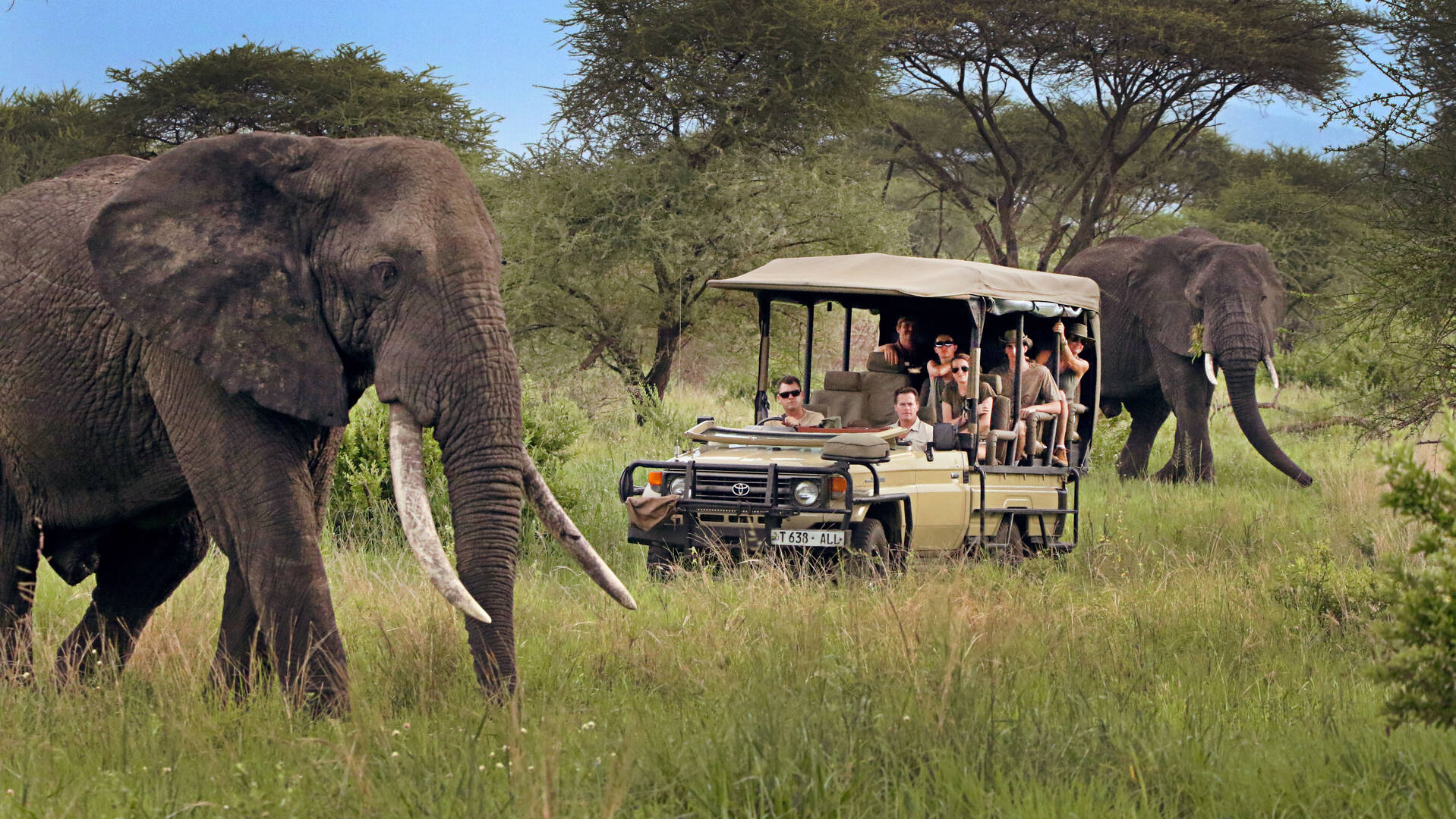 Tanzania Elsewhere Adventures